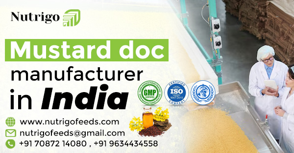 Mustard Doc Manufacturer in India